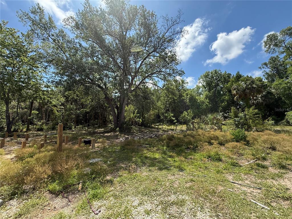 186 Gladys Avenue Inglis, FL 34449 - Photo 18 of 21