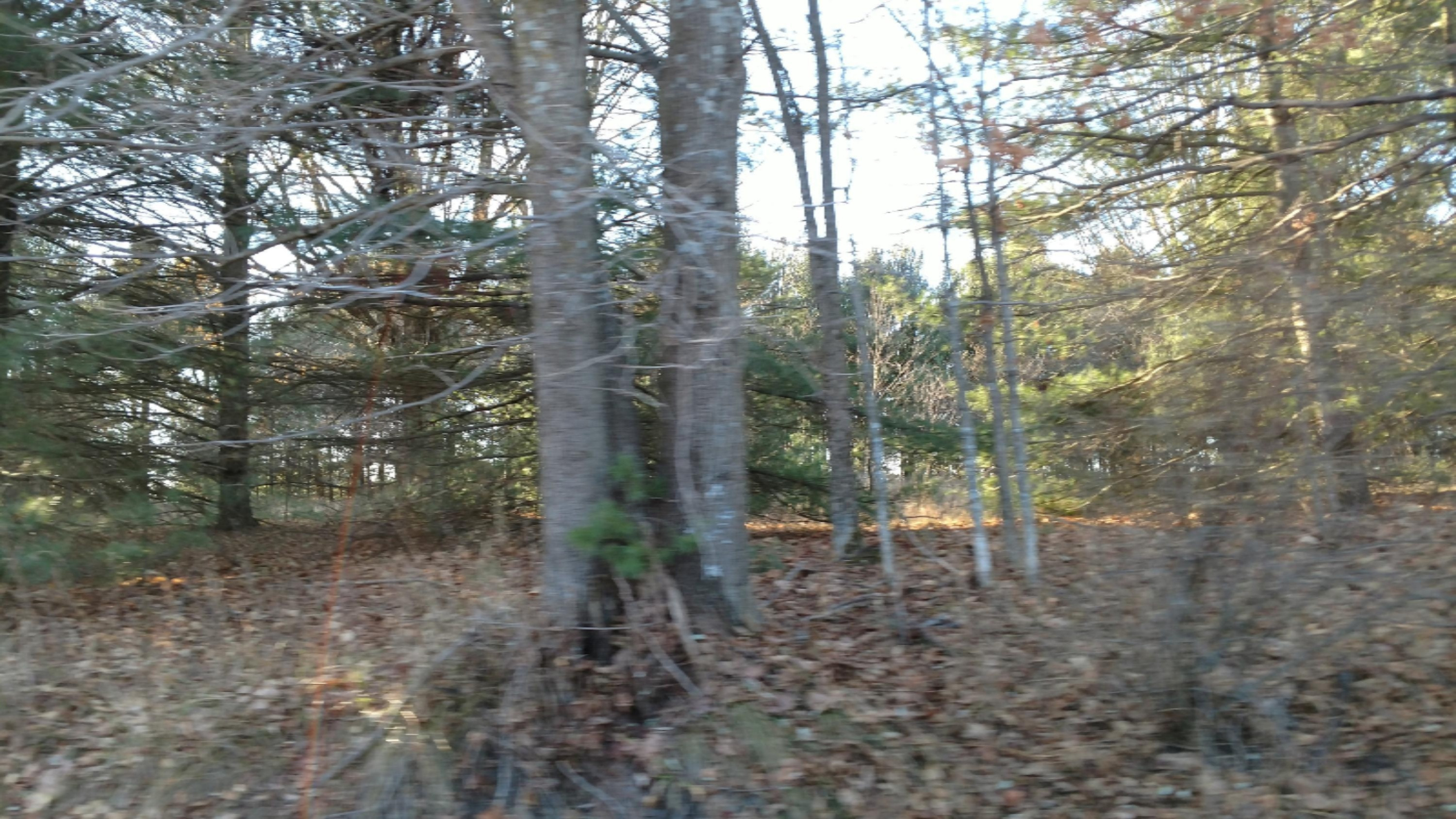 12450 9 Mile Road Kaleva, MI 49645 - Photo 14 of 30 IMG_20171130_150722094