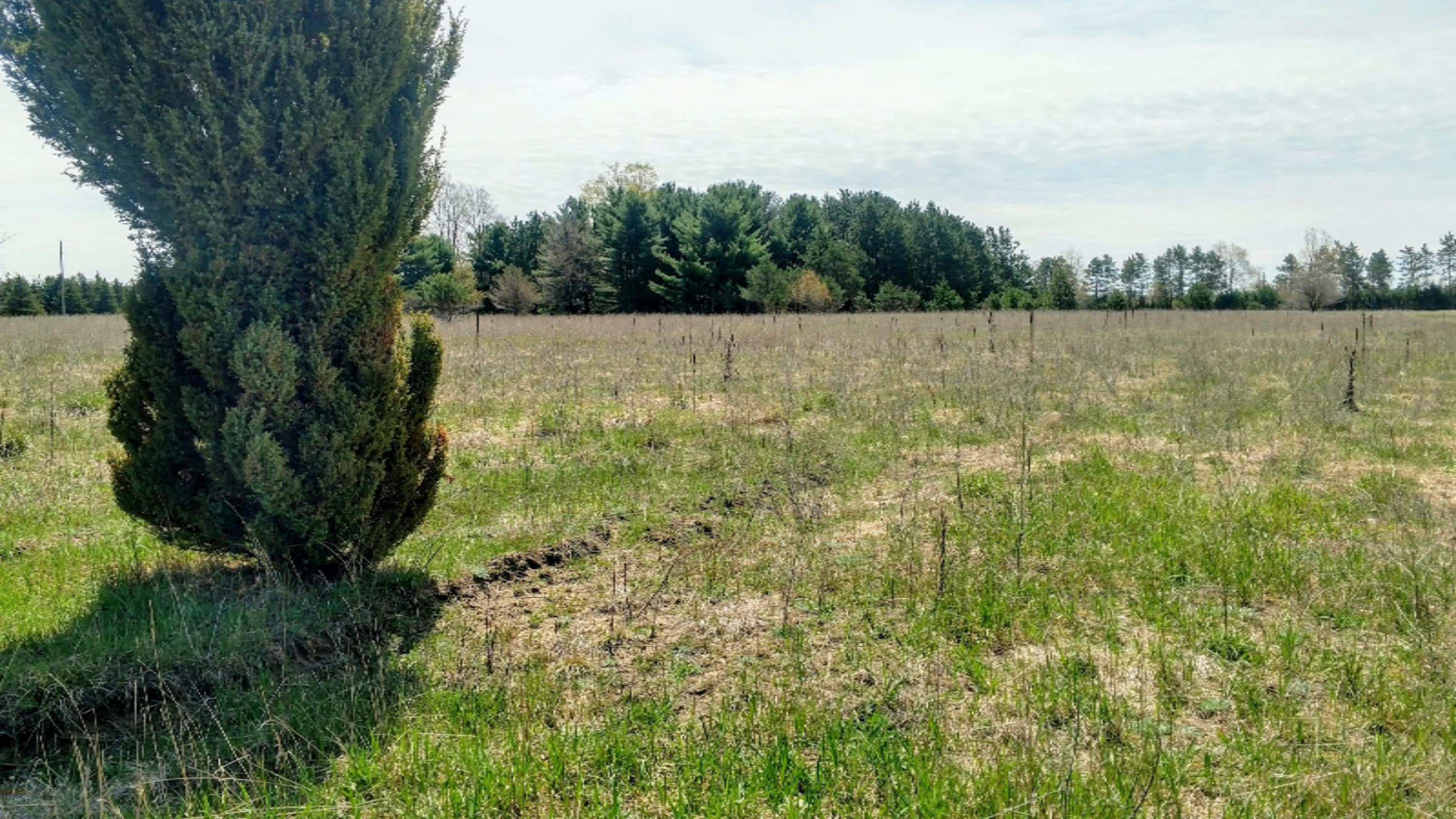 12450 9 Mile Road Kaleva, MI 49645 - Photo 2 of 30 IMG_20190507_122750563_HDR