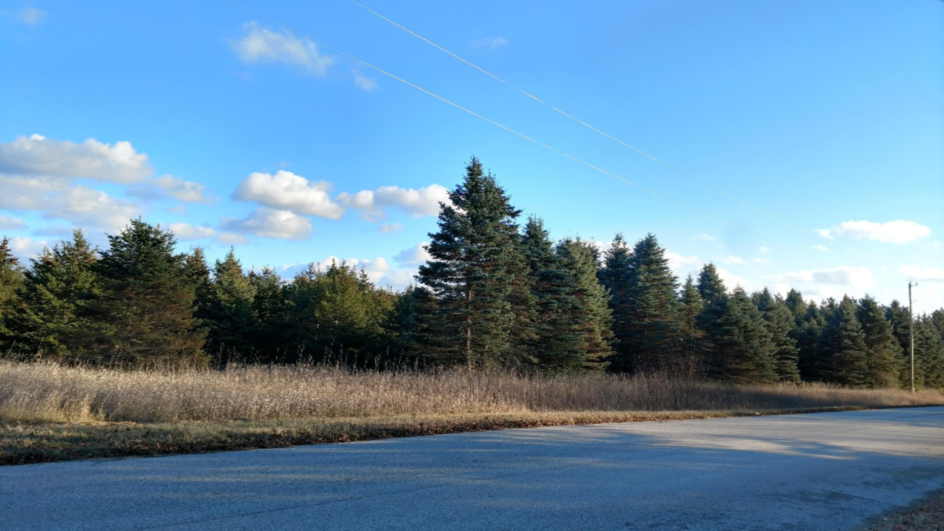 12450 9 Mile Road Kaleva, MI 49645 - Photo 10 of 30 IMG_20171130_150700622_HDR