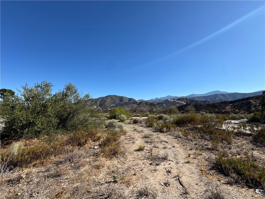 4292 Davis Ranch Road Phelan, CA 92371 - Photo 6 of 50 a view of a forest with mountains in the background