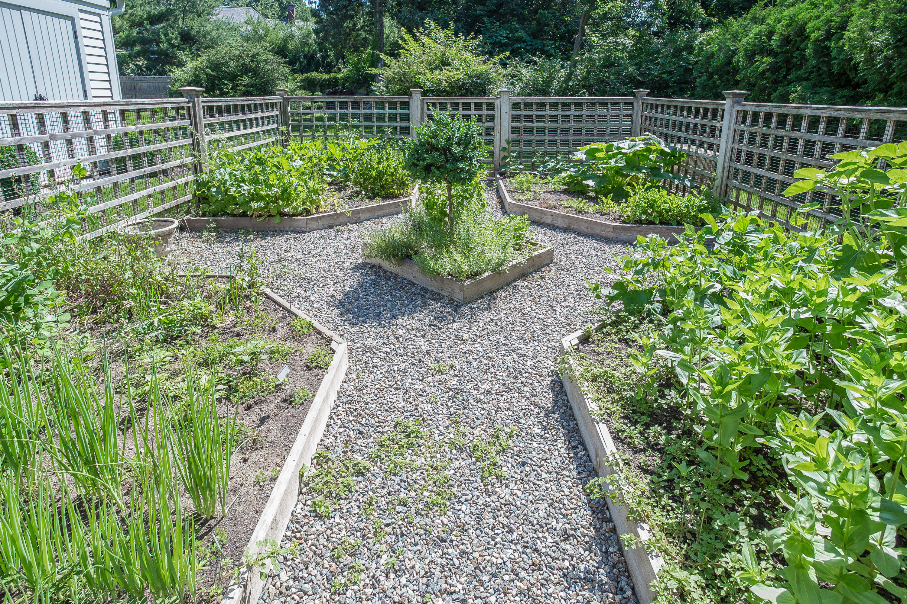 256 Brookside Road Darien, CT 06820 - Photo 52 of 66 a garden with plants in front of it