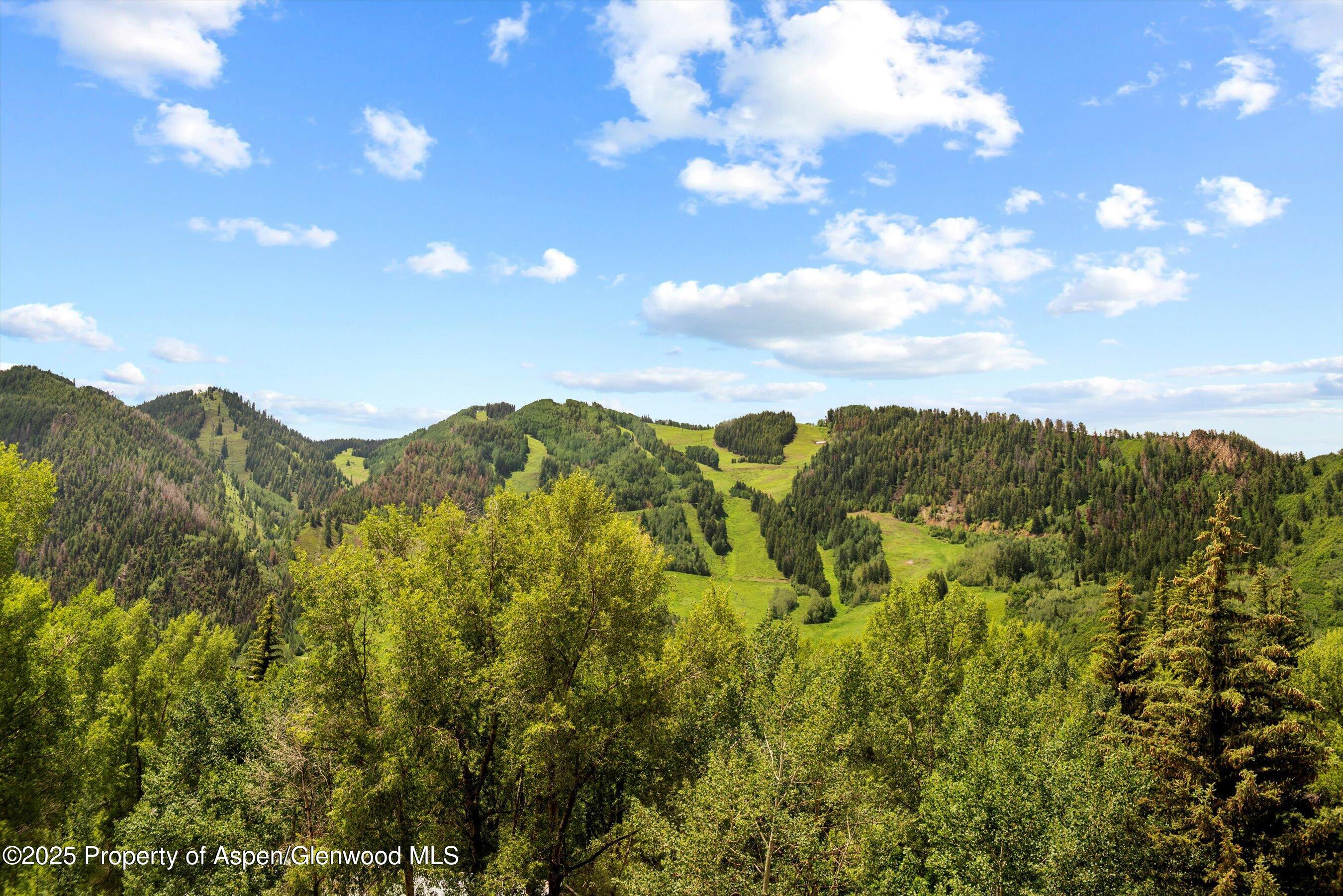 155 Lone Pine Road, Unit 8 Aspen, CO 81611 - Photo 31 of 36 a view of a mountain