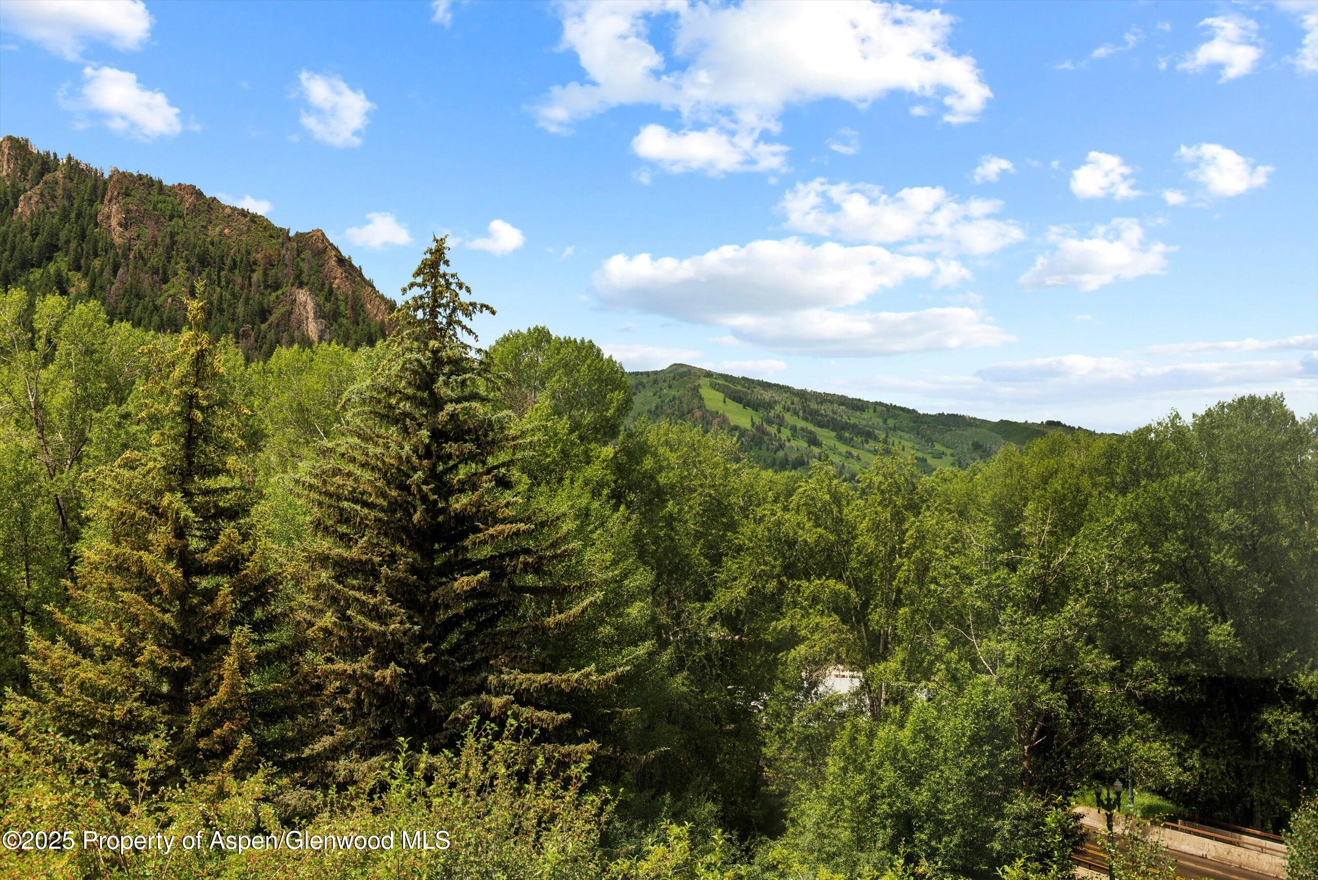 155 Lone Pine Road, Unit 8 Aspen, CO 81611 - Photo 33 of 36