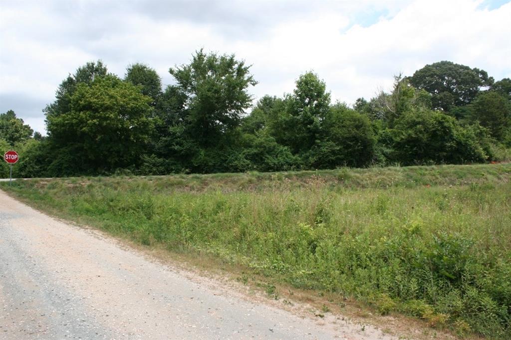 a view of a field with trees in the background