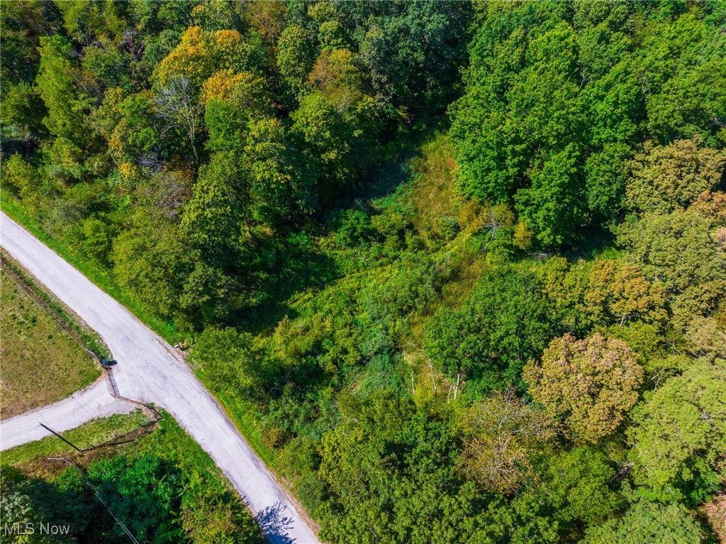 192 Township Road Cadiz, OH 43907 - Photo 29 of 31 Bird's eye view