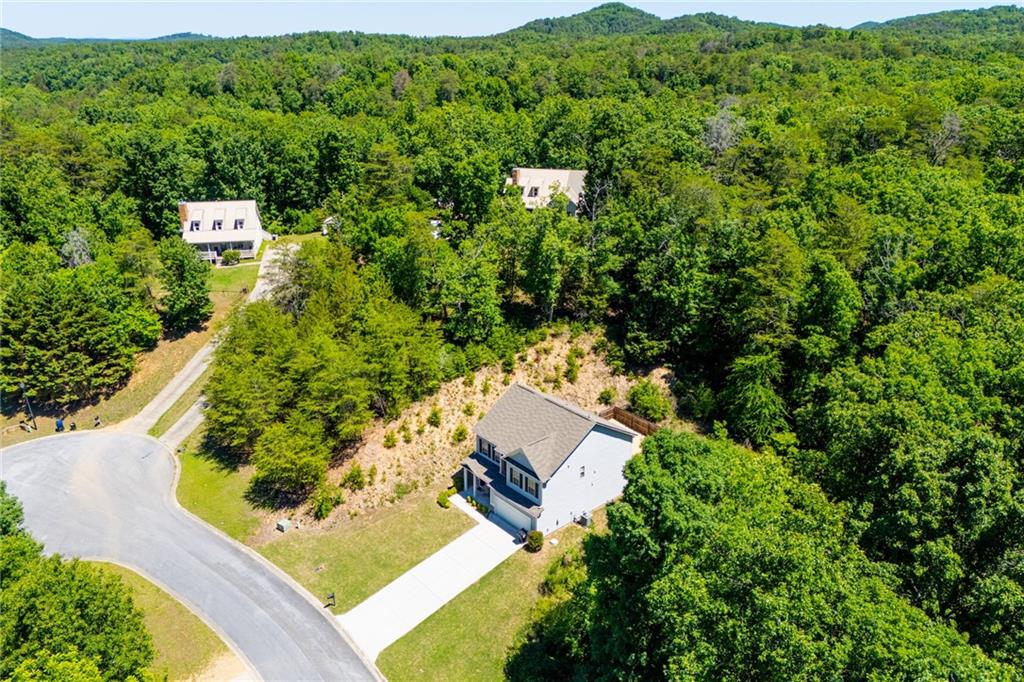 28 Sarah's Hollow Road Rockmart, GA 30153 - Photo 58 of 61