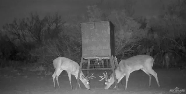 a table and chairs in a patio