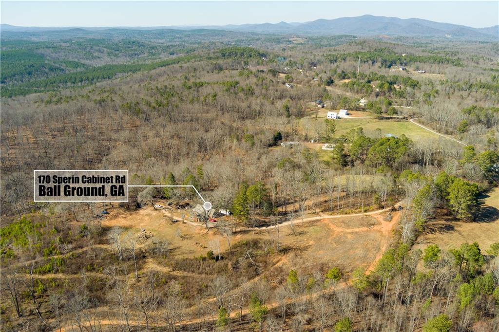 170 Sperin Cabinet Shop Road Ball Ground, GA 30107 - Photo 7 of 19