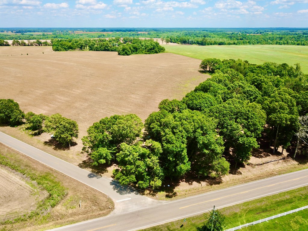 92 County Road 92 Slocomb, AL 36375 - Photo 18 of 58