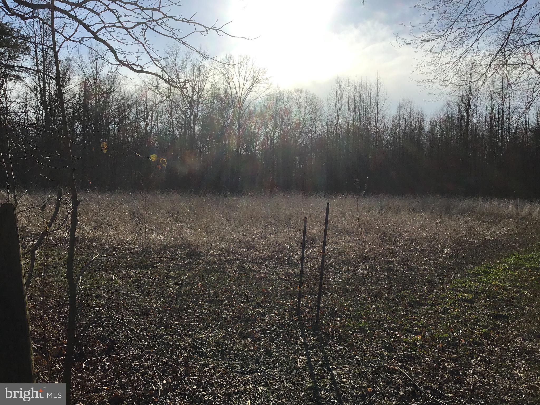 34505 Vandyke Road Galena, MD 21635 - Photo 32 of 55 a view of a yard