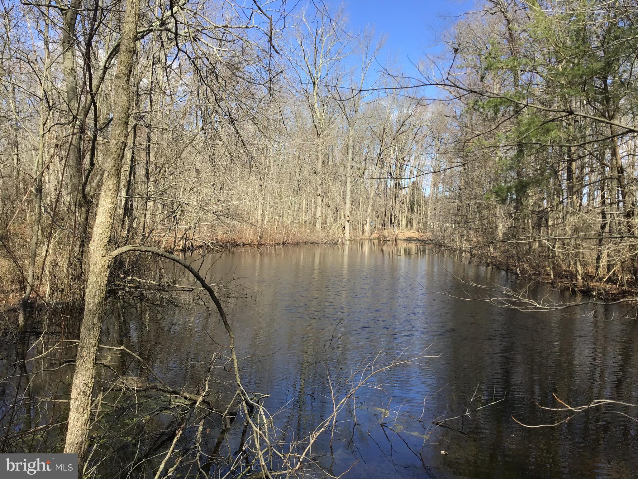34505 Vandyke Road Galena, MD 21635 - Photo 50 of 55 a view of a lake