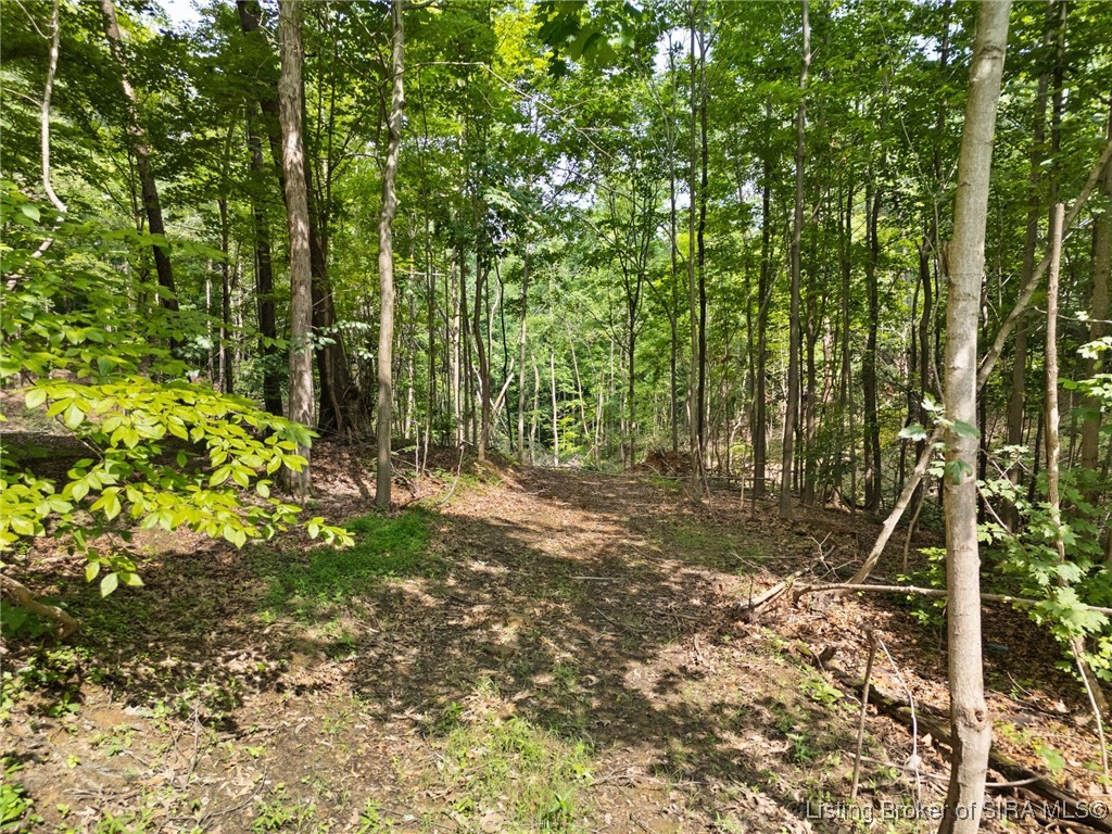 64 West State Road English, IN 47118 - Photo 11 of 20