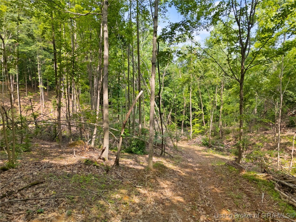 64 West State Road English, IN 47118 - Photo 12 of 20