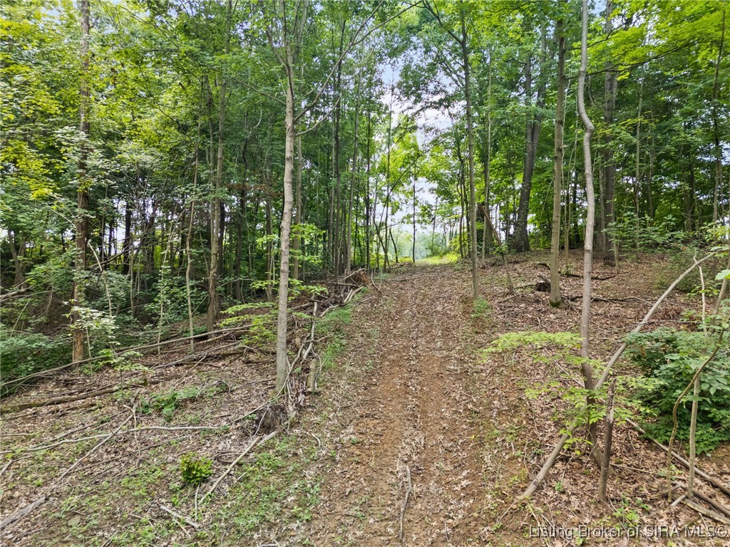 64 West State Road English, IN 47118 - Photo 13 of 20