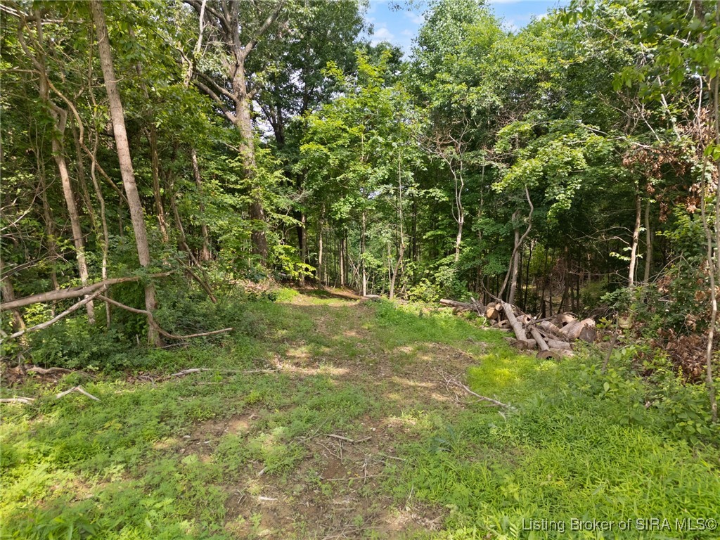 64 West State Road English, IN 47118 - Photo 10 of 20