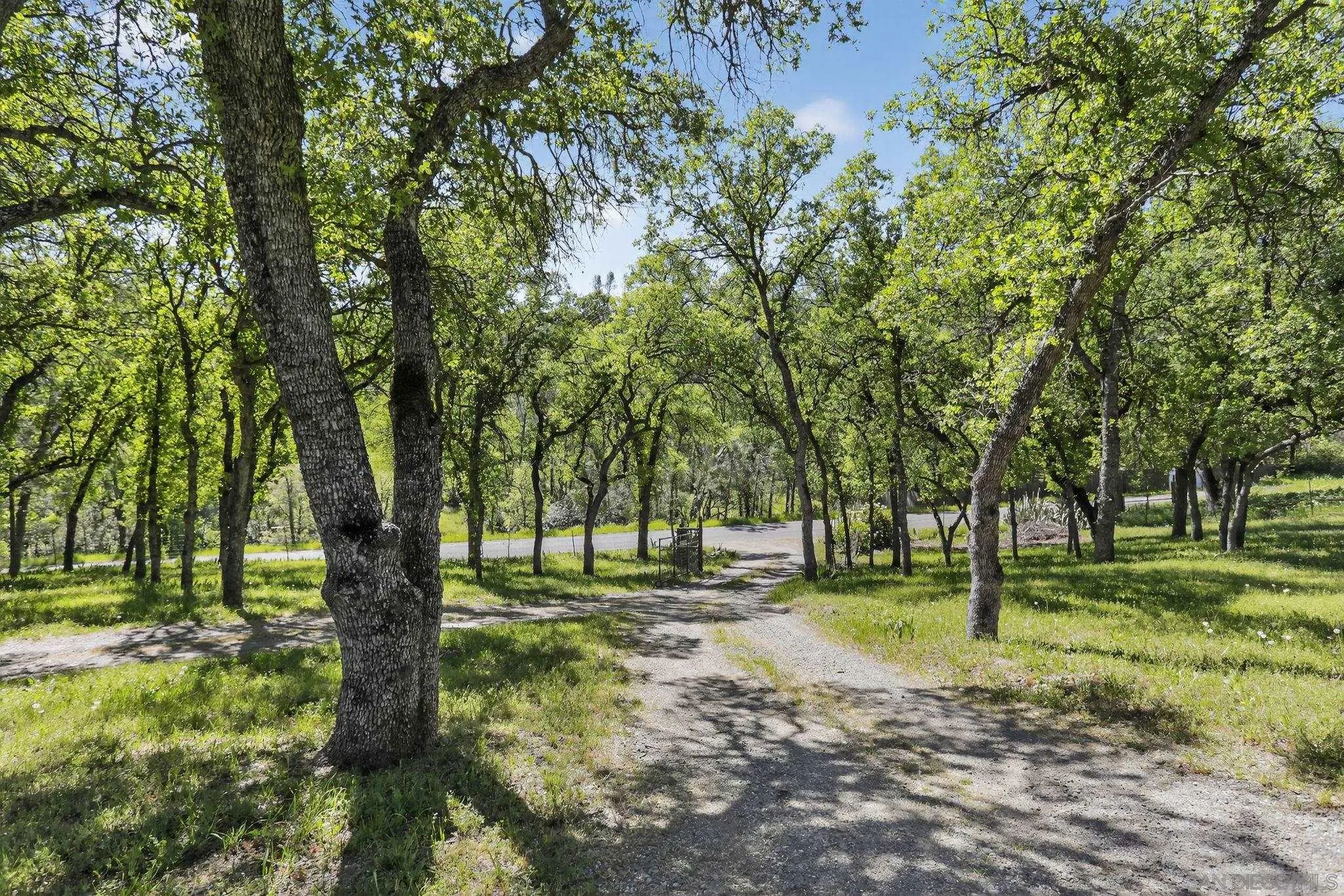 16522 Stagecoach Road Corning, CA 96021 - Photo 27 of 30