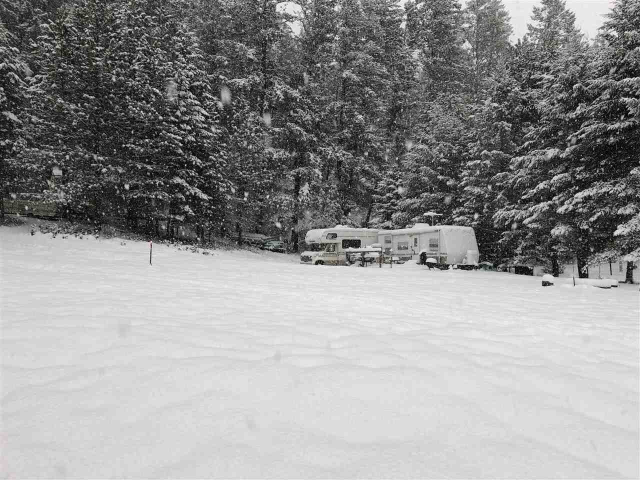 2325 East Oregon Road Elk, WA 99009 - Photo 5 of 20