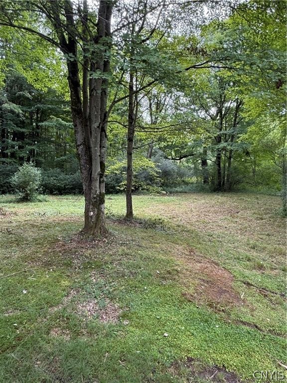 679 Hog Back Road Altmar, NY 13302 - Photo 7 of 18