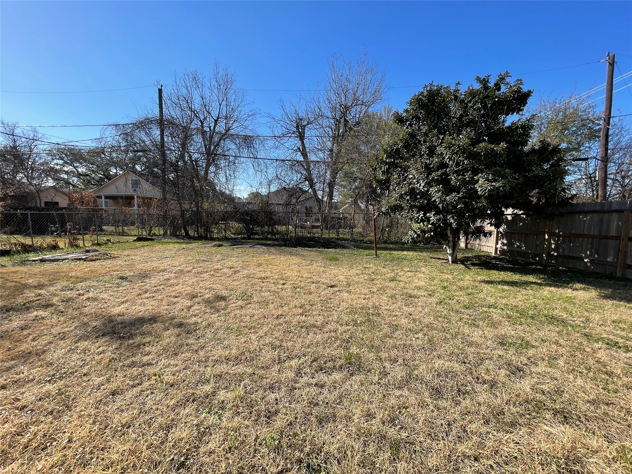 4504 Kingsbury Street Houston, TX 77021 - Photo 17 of 18 a view of a yard with a tree
