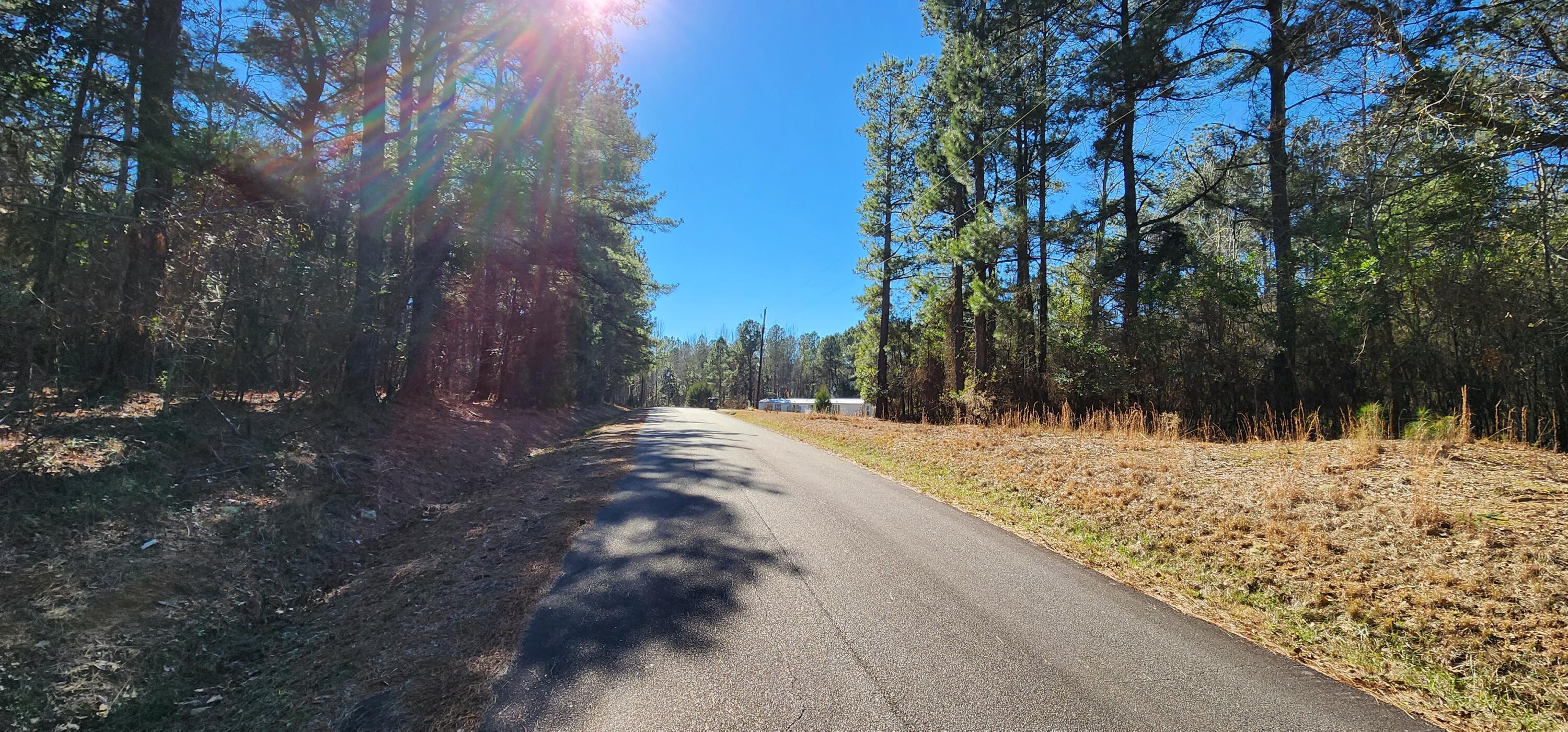 Lot 40 Ridgelake Circle (3)
