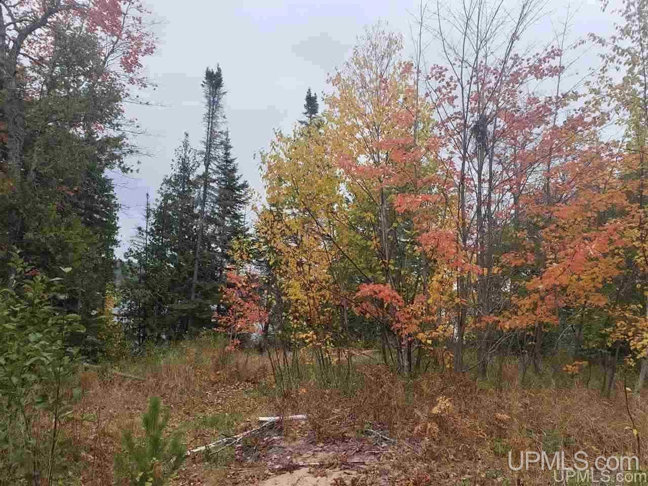 Tbd Gay Lac La Belle Road Lake Linden, MI 49950 - Photo 4 of 9
