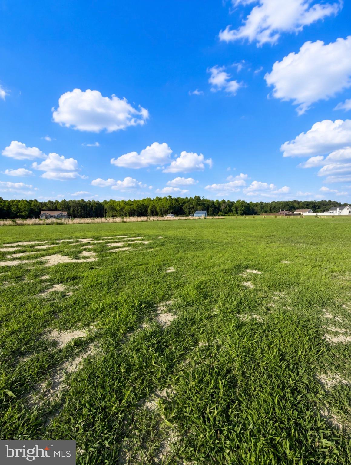21963 Hardscrabble Road Georgetown, DE 19947 - Photo 41 of 43 Vibrant green field under blue skies.