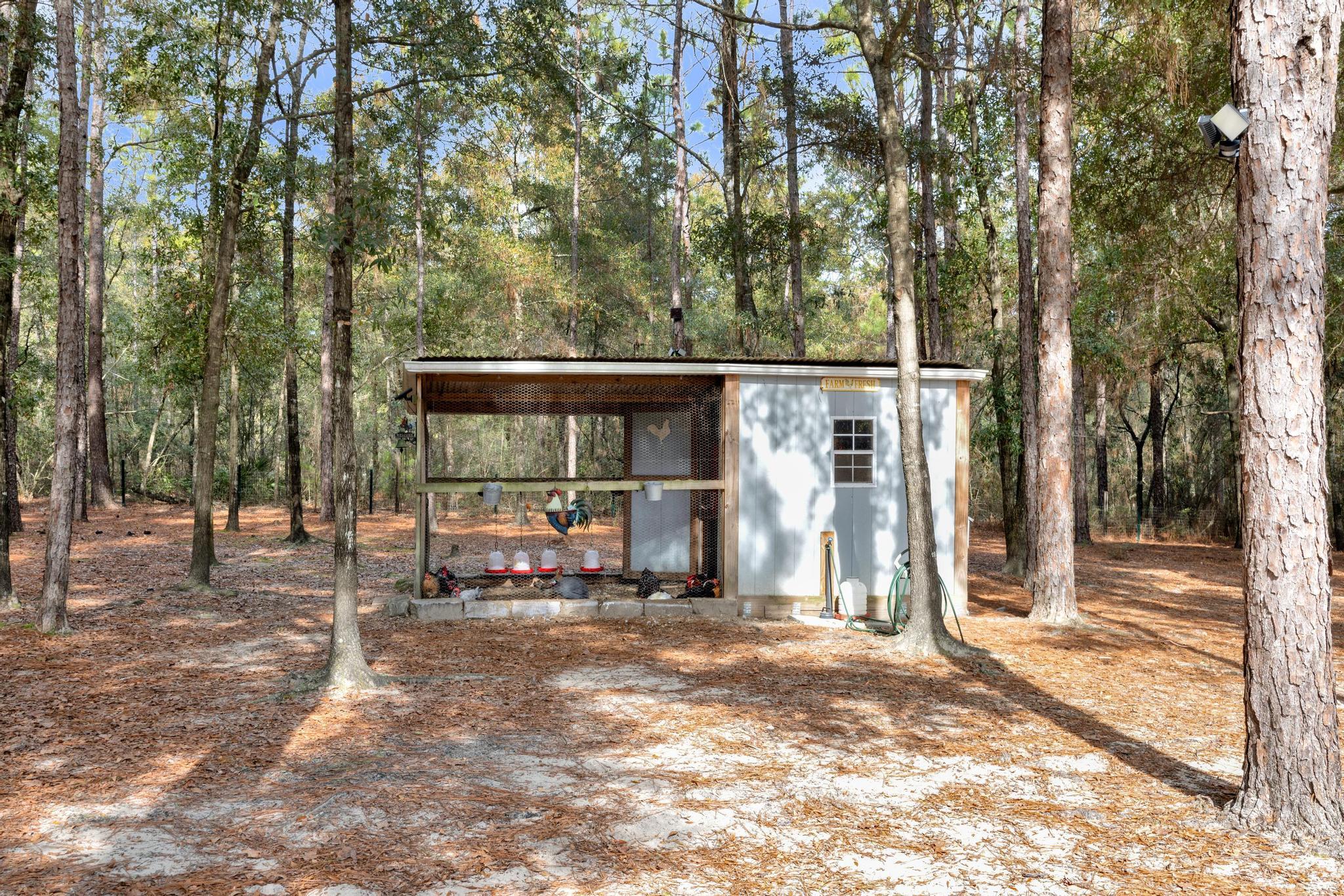 1141 Country Living Road Baker, FL 32531 - Photo 49 of 60 a view of a house with a large tree