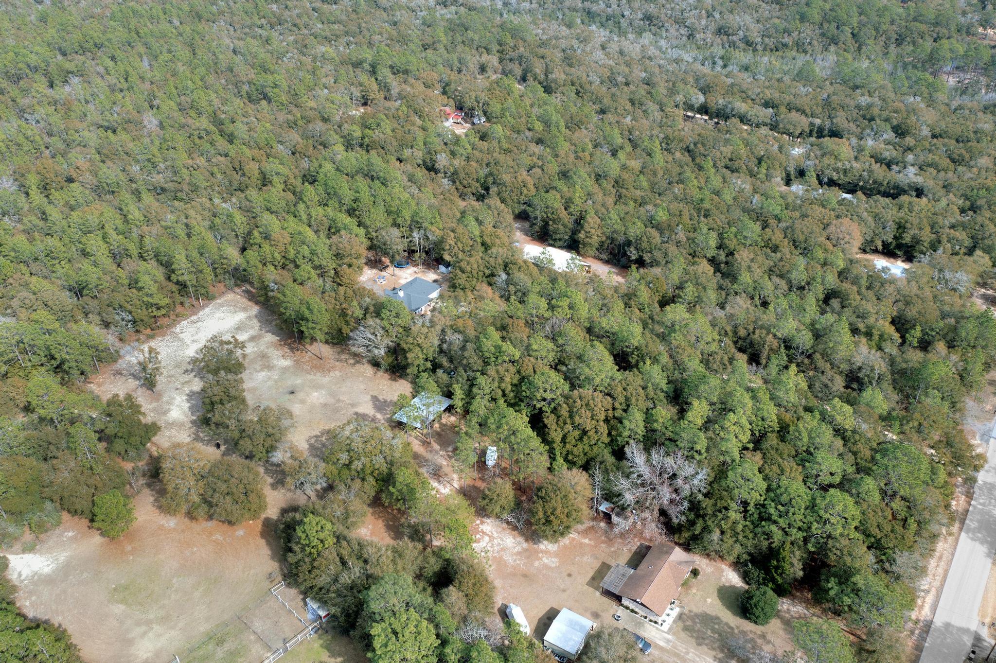 1141 Country Living Road Baker, FL 32531 - Photo 54 of 60 a view of a forest with a sink