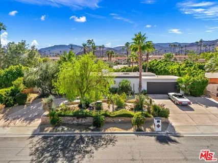 a view of a garden with plants and a bench