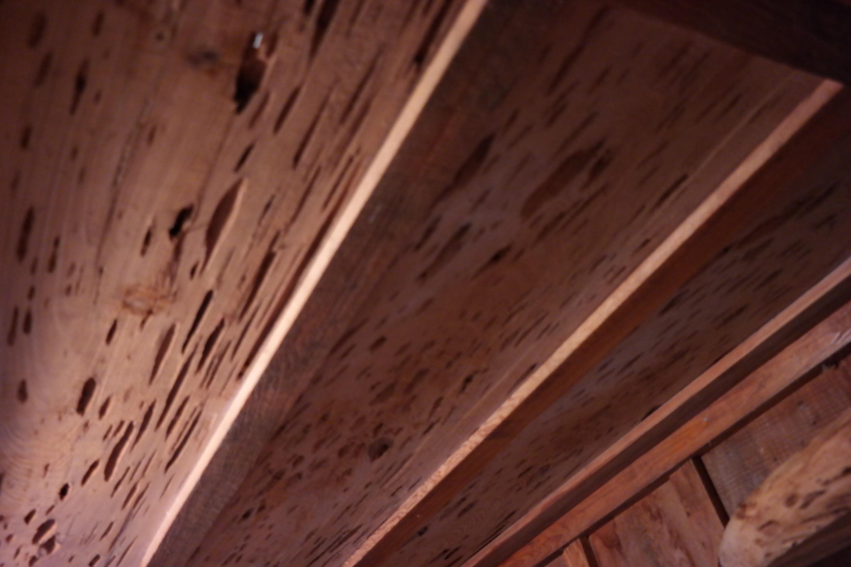 586 Choctawhatchee River Road Ponce de Leon, FL 32455 - Photo 22 of 38 Outbuilding 1 - Rec, Saloon (10)