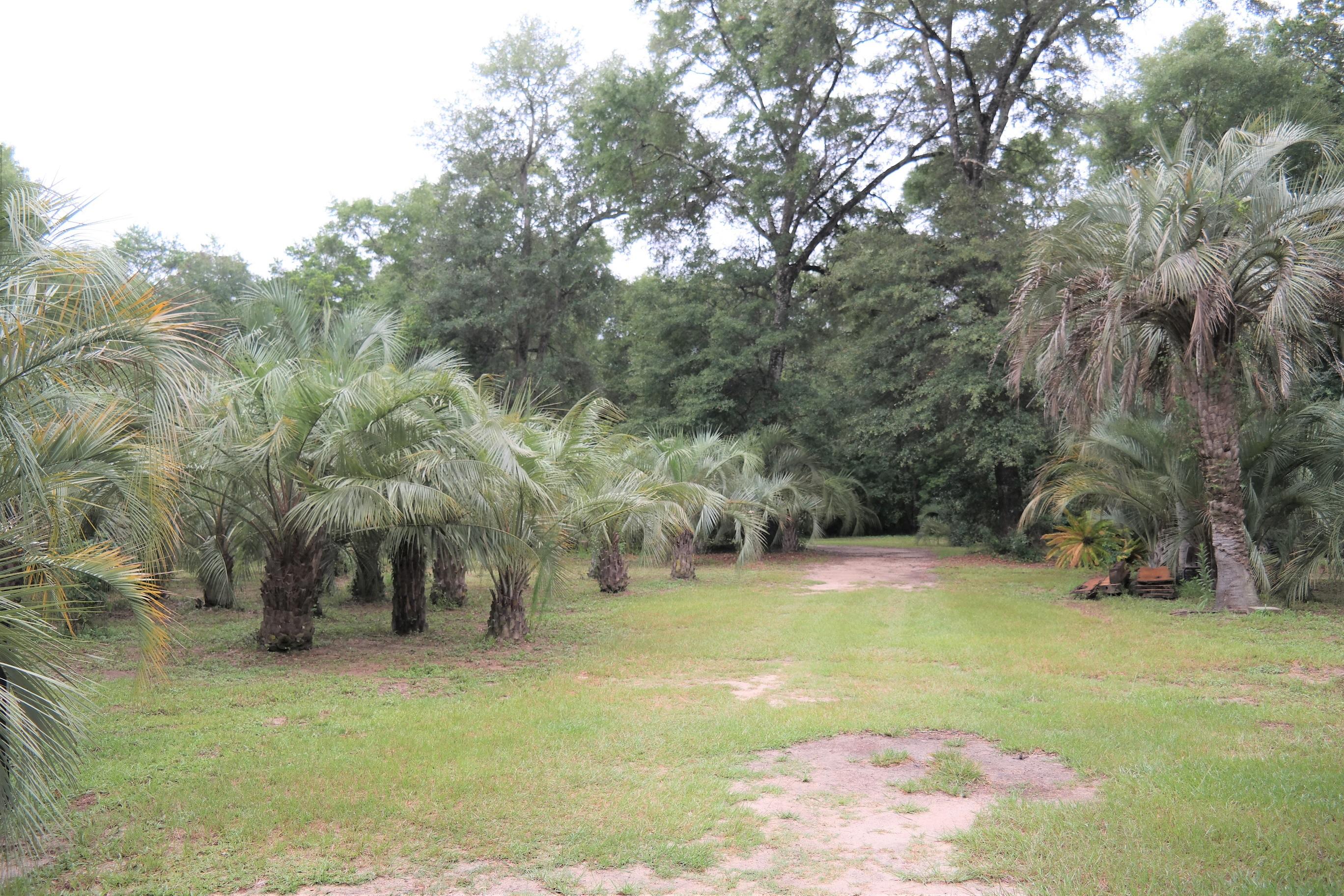 586 Choctawhatchee River Road Ponce de Leon, FL 32455 - Photo 24 of 38 Lot (3)