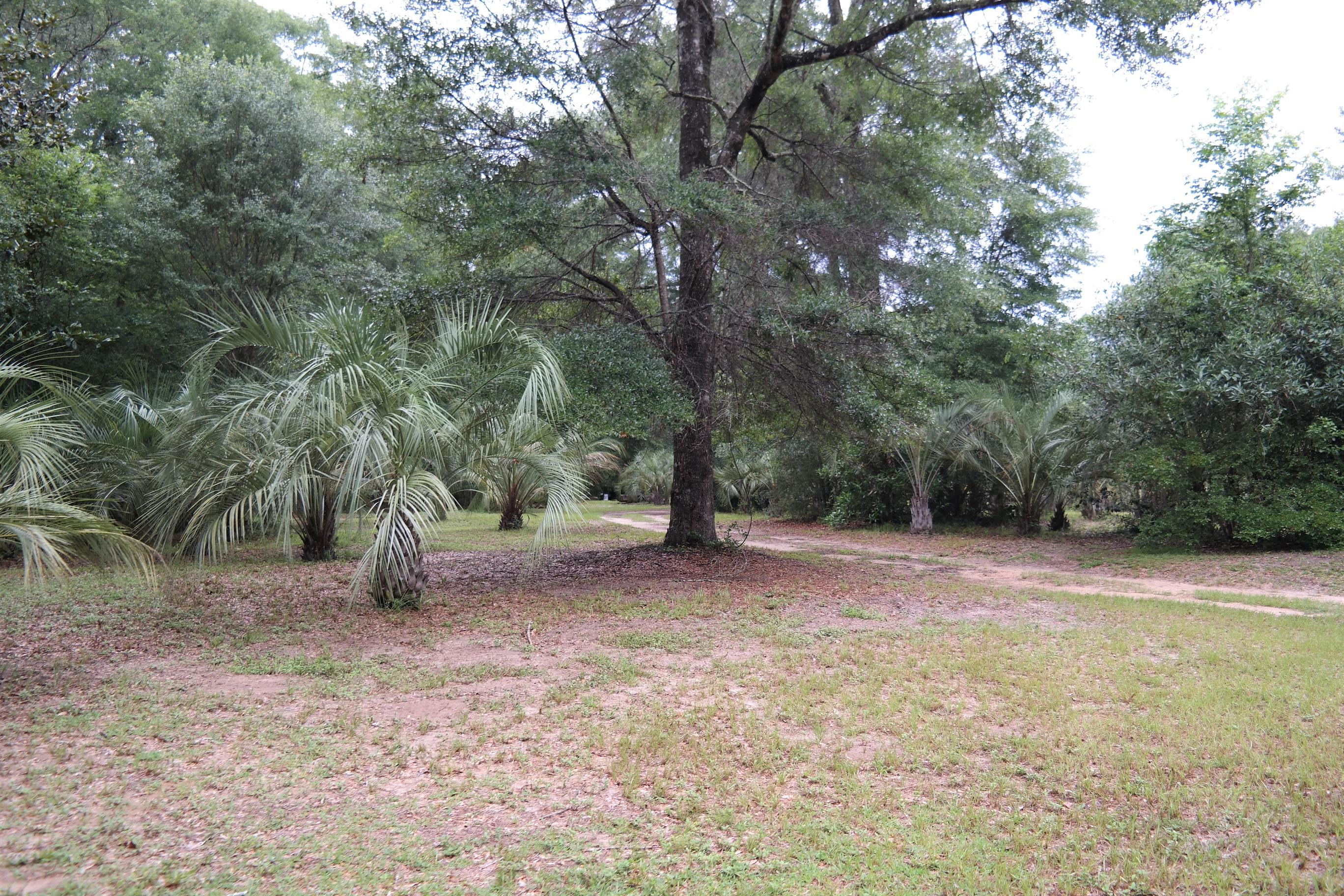 586 Choctawhatchee River Road Ponce de Leon, FL 32455 - Photo 27 of 38 Lot (7)