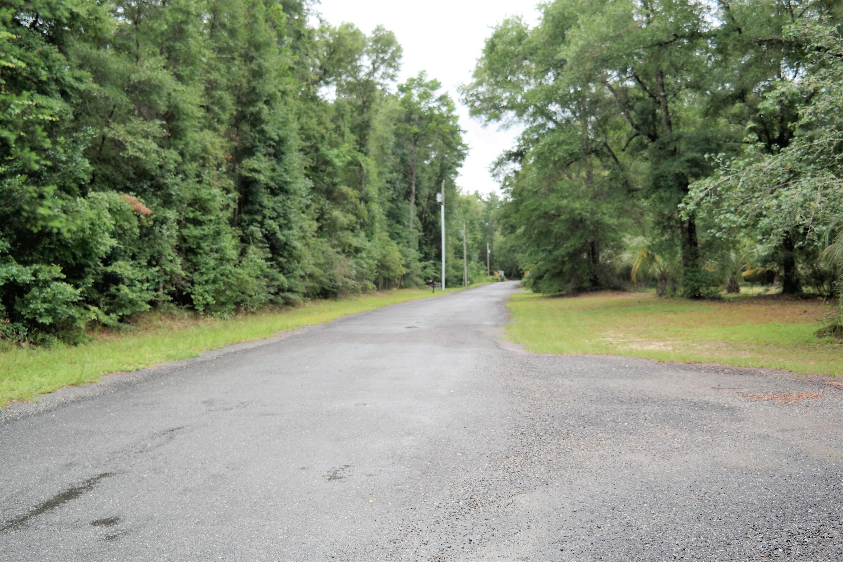 586 Choctawhatchee River Road Ponce de Leon, FL 32455 - Photo 34 of 38 St View (2)