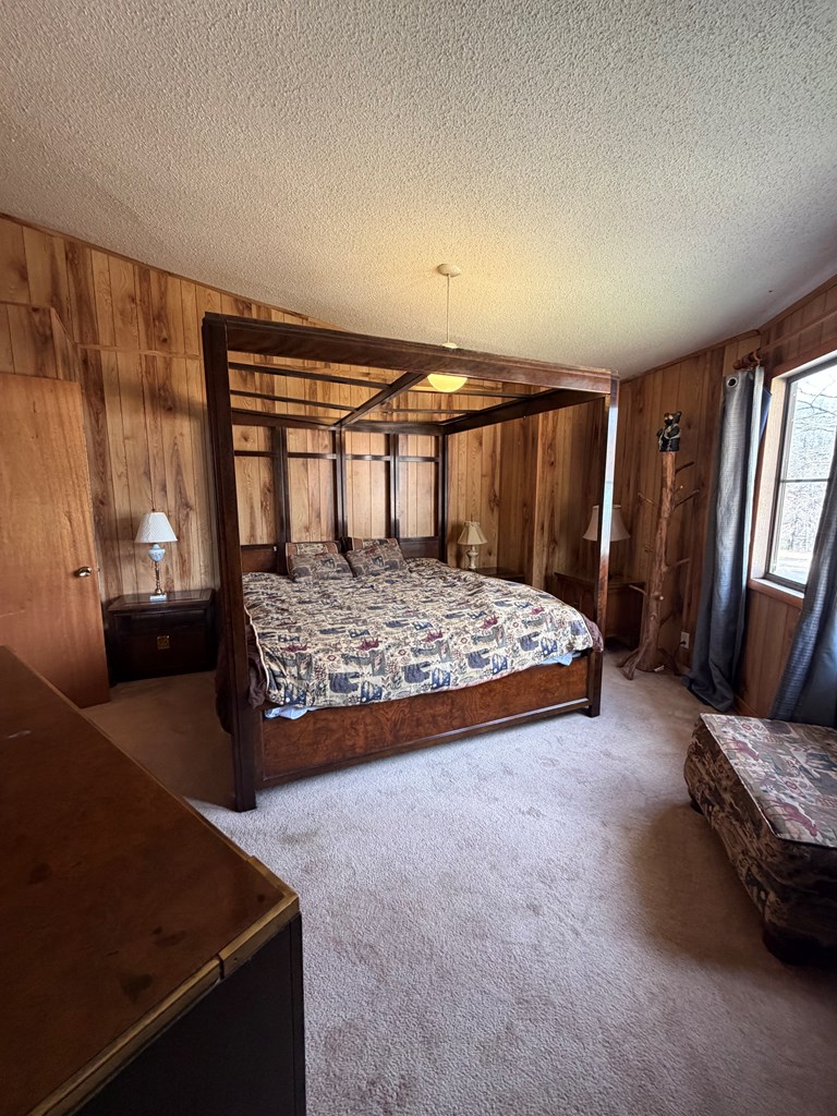 526 Red Bush School Road Blue Ridge, GA 30513 - Photo 17 of 37