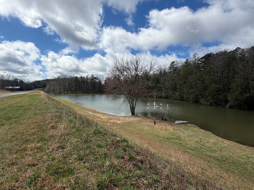 526 Red Bush School Road Blue Ridge, GA 30513 - Photo 35 of 37