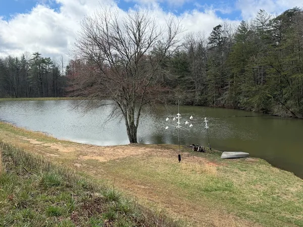 a view of a lake from a yard