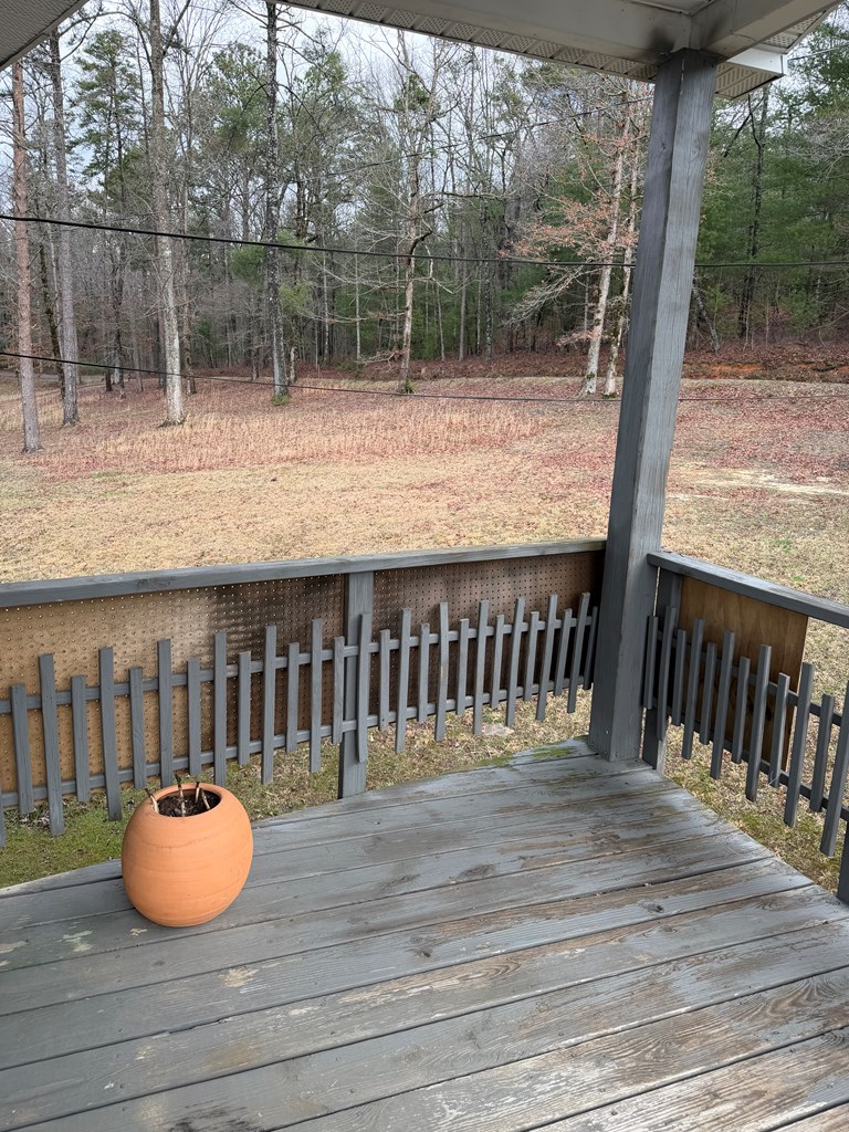 526 Red Bush School Road Blue Ridge, GA 30513 - Photo 8 of 37