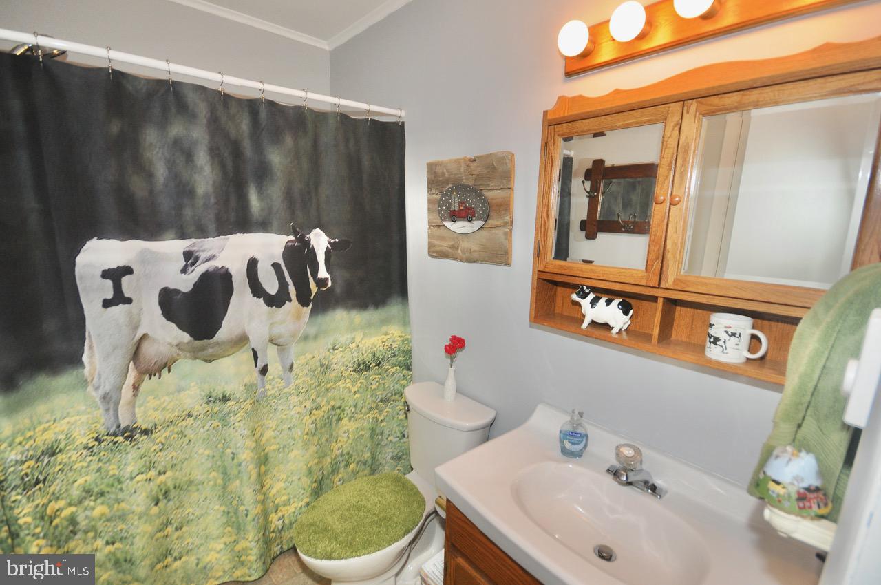 2122 Jacksonville Jobstown Road Jobstown, NJ 08041 - Photo 37 of 75 Main Bathroom