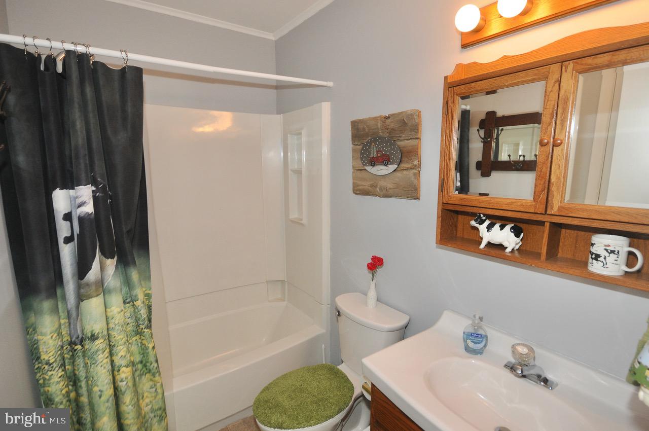 2122 Jacksonville Jobstown Road Jobstown, NJ 08041 - Photo 38 of 75 Main Bathroom