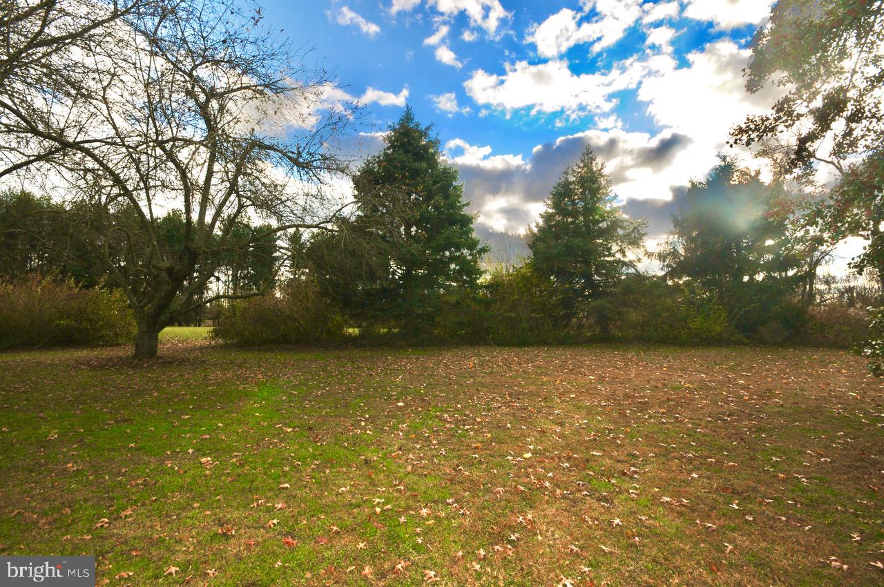 2122 Jacksonville Jobstown Road Jobstown, NJ 08041 - Photo 42 of 75 Rear Yard of 1 Acre Lot
