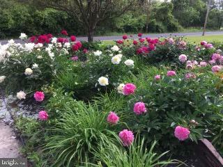 2122 Jacksonville Jobstown Road Jobstown, NJ 08041 - Photo 68 of 75 Springtime Photos