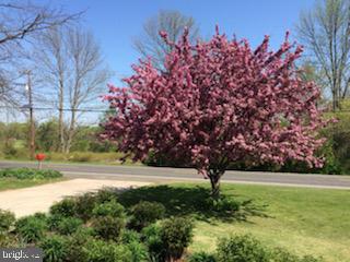 2122 Jacksonville Jobstown Road Jobstown, NJ 08041 - Photo 72 of 75 Driveway Entry