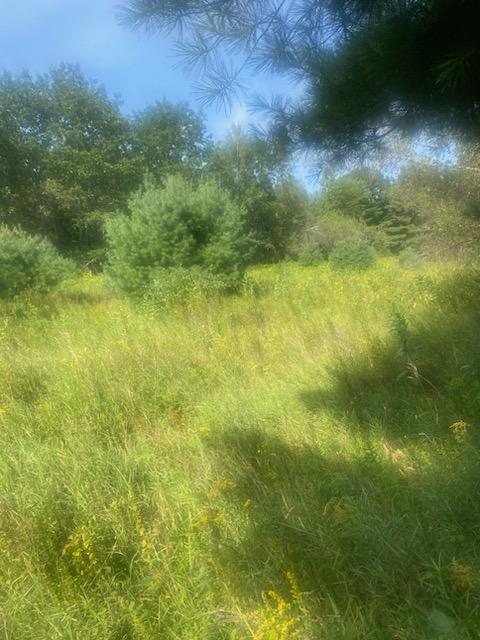 0 Pleasant River Road Milo, ME 04463 - Photo 17 of 26 IMG_20230902_111505