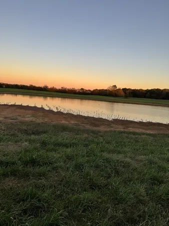 a view of a lake from a yard