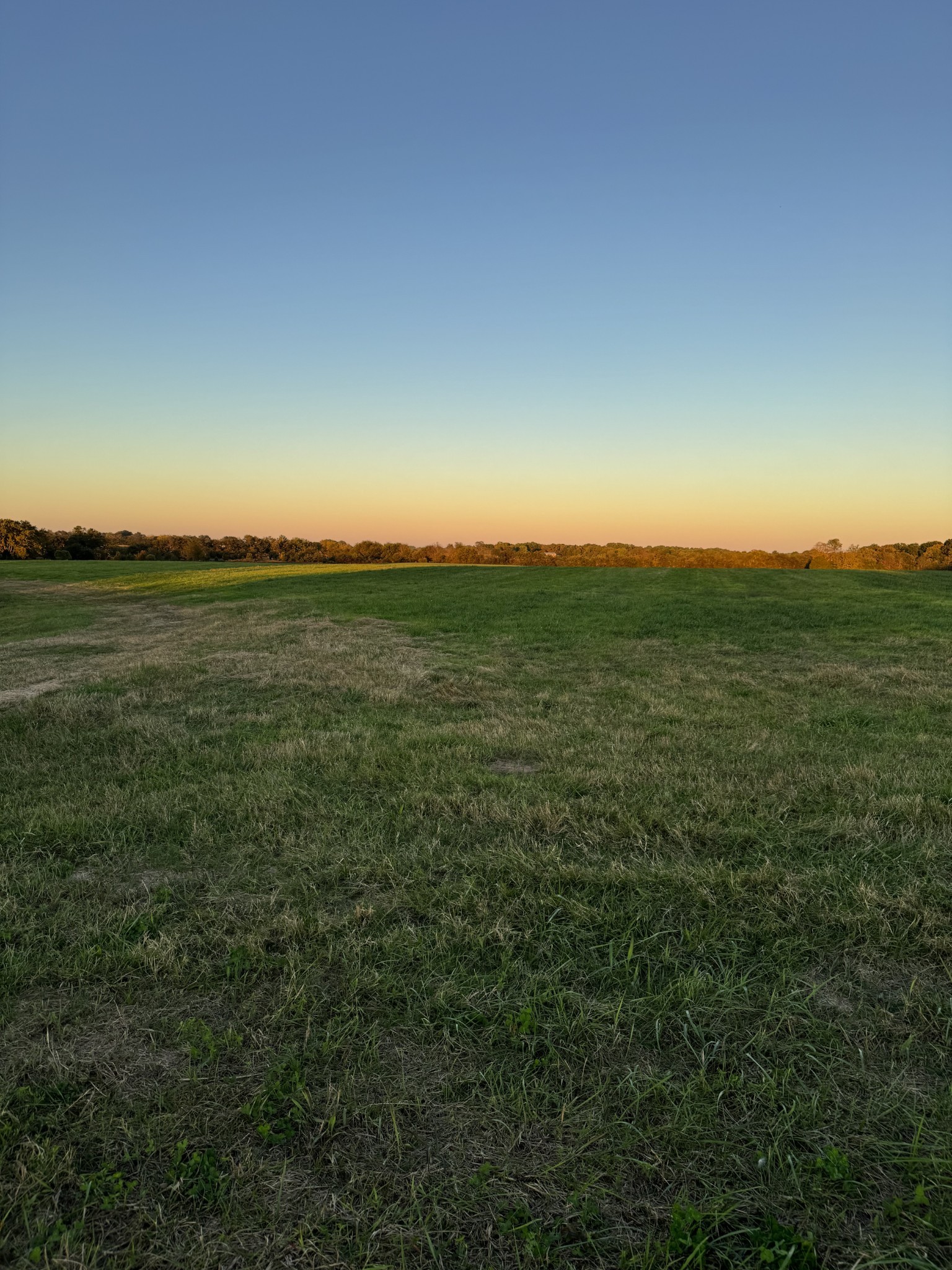 0 Woody Atkinson Road Woodburn, KY 42170 - Photo 15 of 18 a view of a field with an ocean