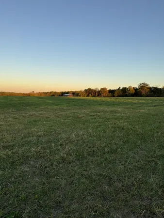 a view of a field with grass and trees
