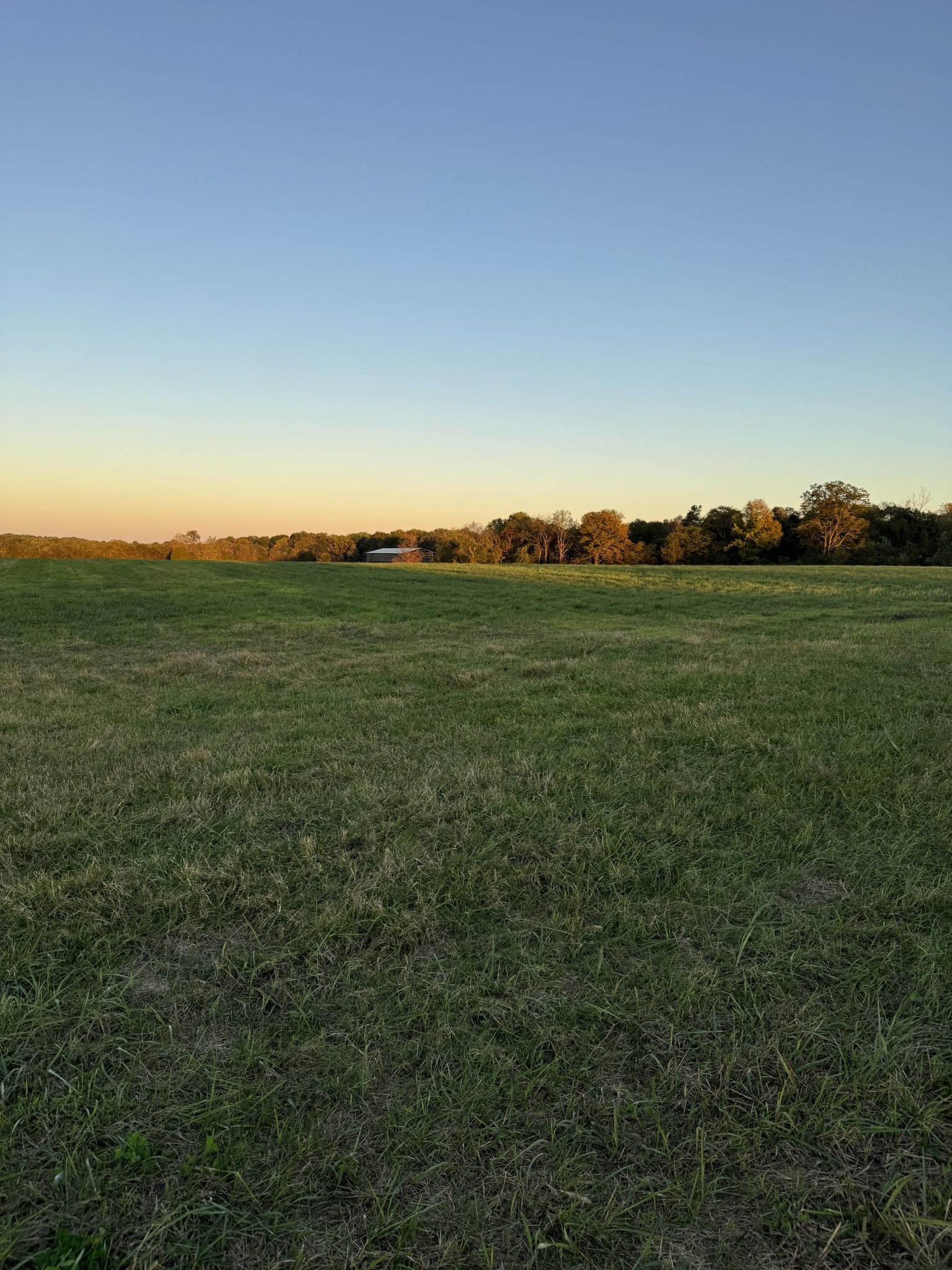 0 Woody Atkinson Road Woodburn, KY 42170 - Photo 16 of 18 a view of a field with grass and trees