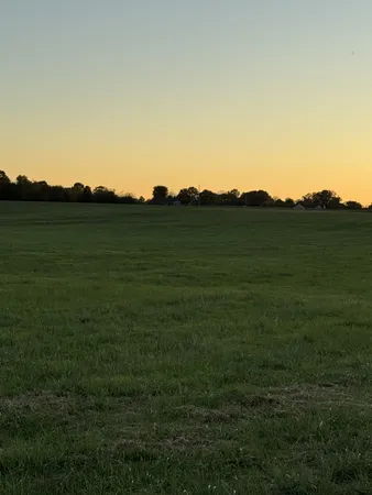 a view of a lush green outdoor space and a yard