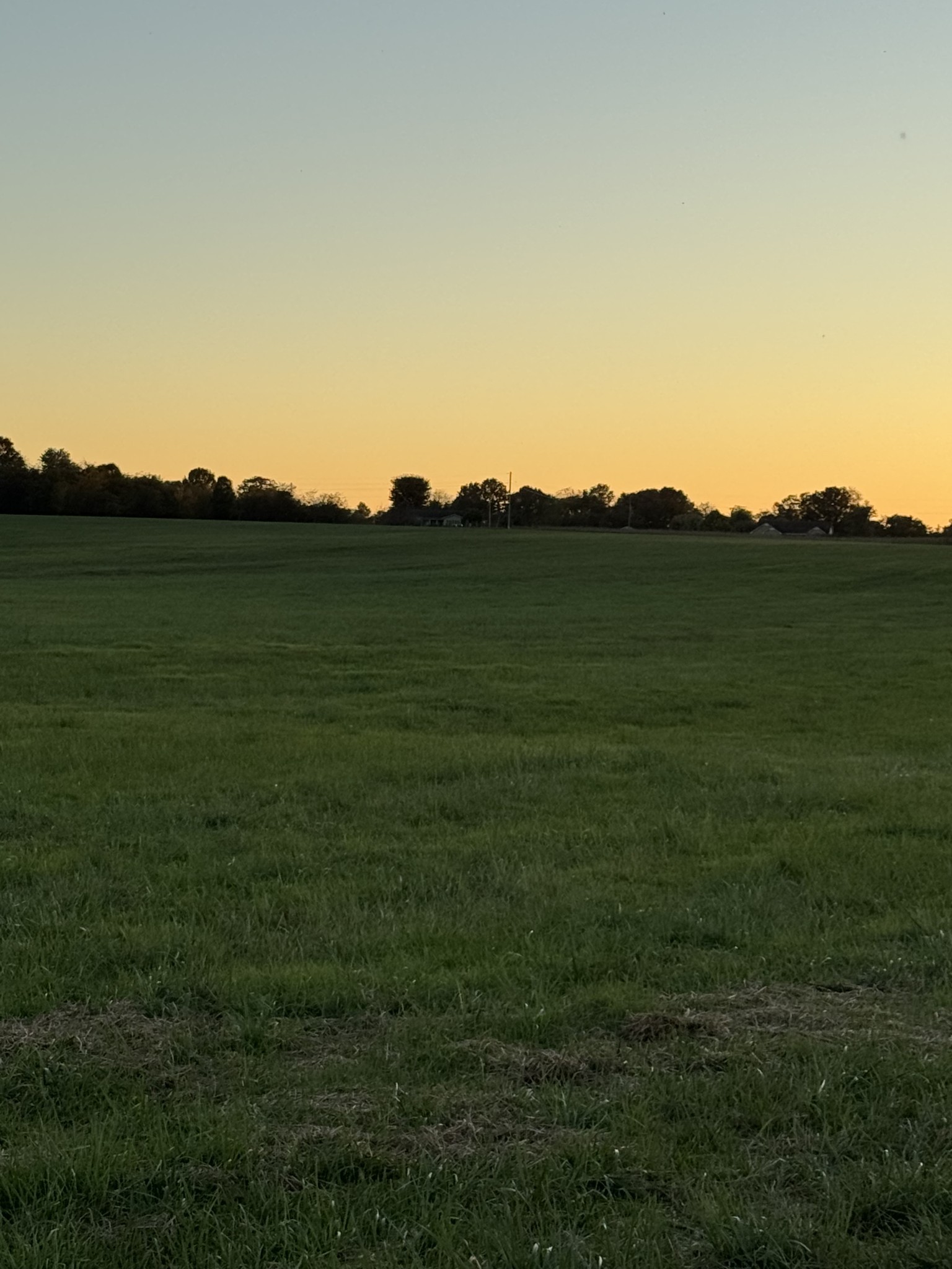 0 Woody Atkinson Road Woodburn, KY 42170 - Photo 17 of 18 a view of a lush green outdoor space and a yard